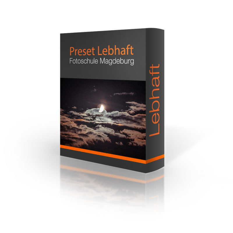 PRESET "Lebhaft 90"
